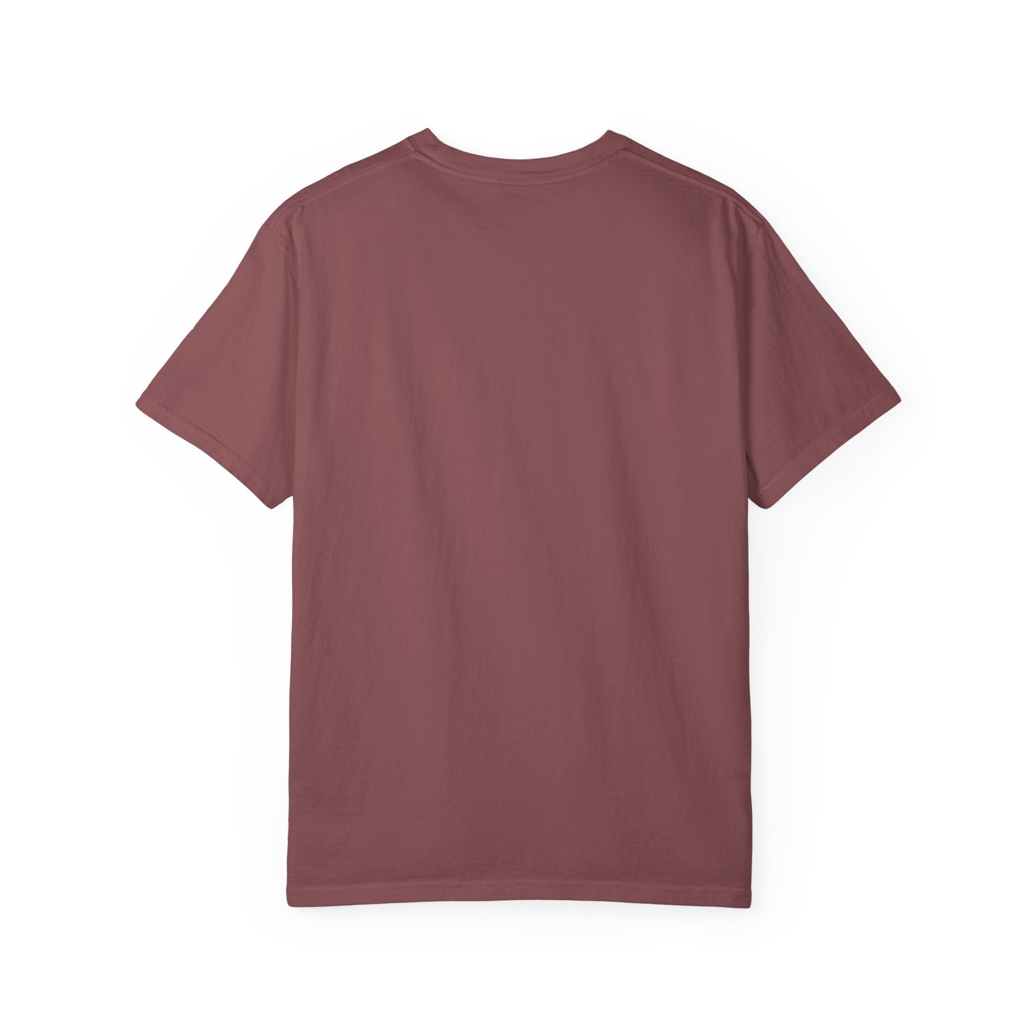 Salt and Light Matthew 5 Bible Verse Shirt Comfort Colors Tee