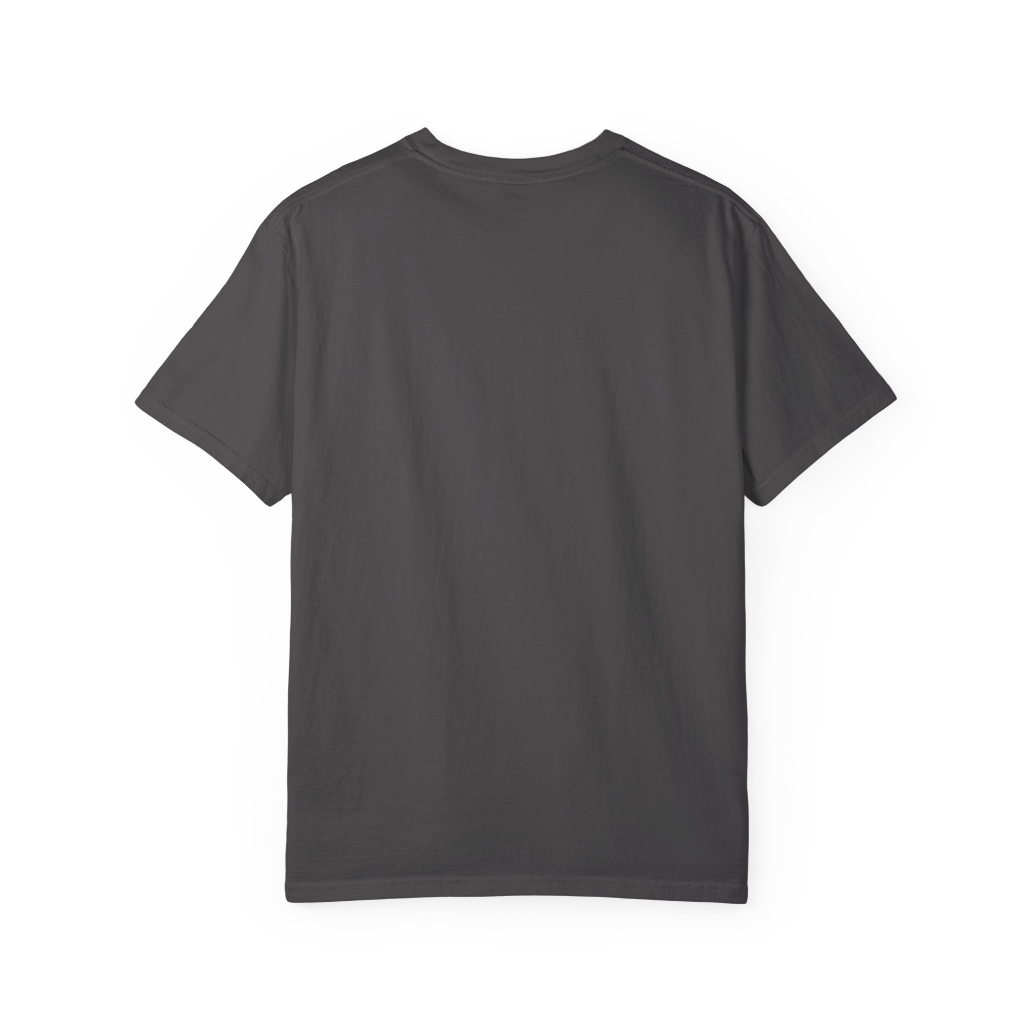 Salt and Light Matthew 5 Bible Verse Shirt Comfort Colors Tee